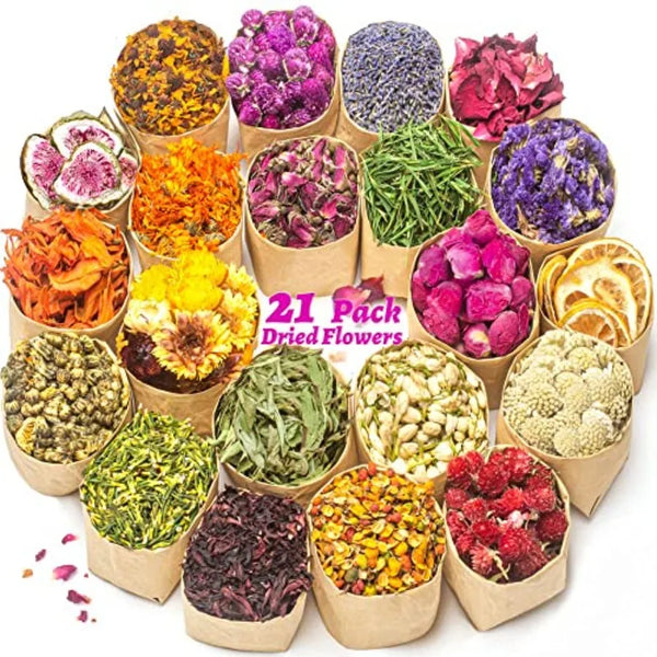 Dried wildflower herb botanical bundle